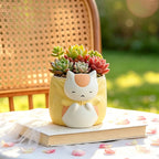 Sleepy Chubby Cat Resin Succulent Planter