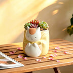 Sleepy Chubby Cat Resin Succulent Planter