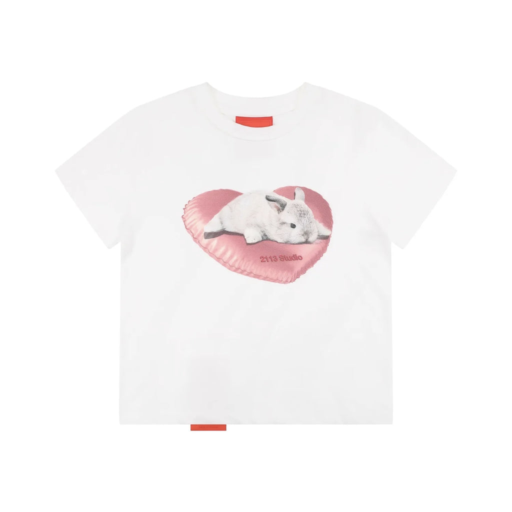[REコンテナ]Camiseta coreana de moda Y2k Crop Top con lindos estampados de gatos, camiseta Kawaii de manga corta para mujer, camisetas ajustadas