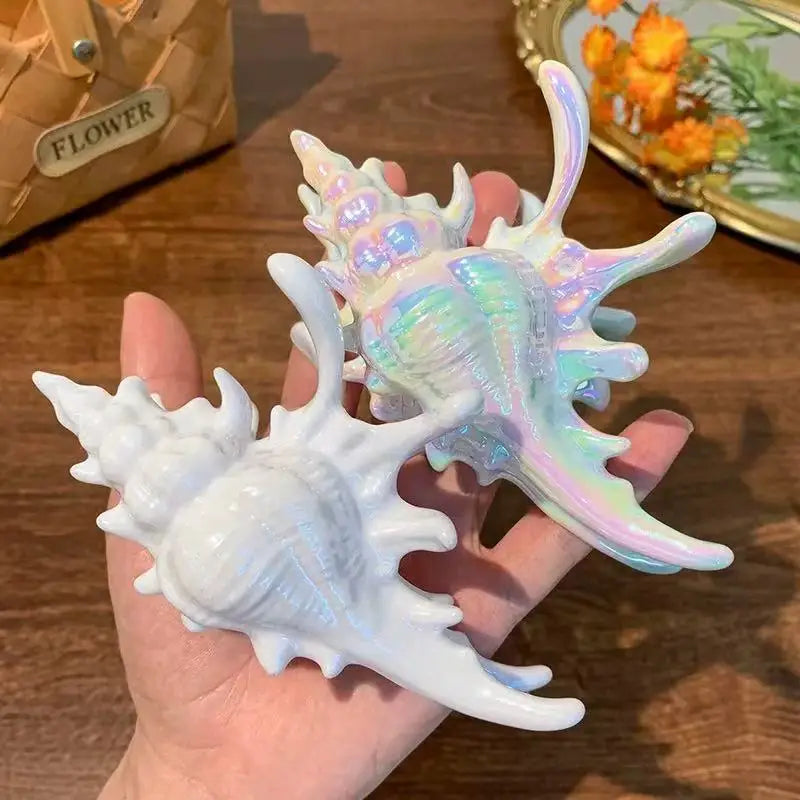 acrylic sea shell hair clip