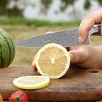 Damascus Steel Wood Handle Boning Knife