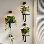 Iron Wall Plant Holder