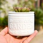 Flower Pot Round Planters