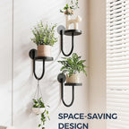 Iron Wall Plant Holder