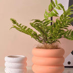 Nordic Ceramic Frosted Flower Pots with Holes