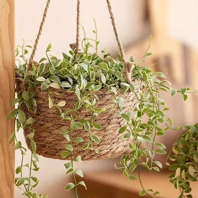 Macrame Plant Basket
