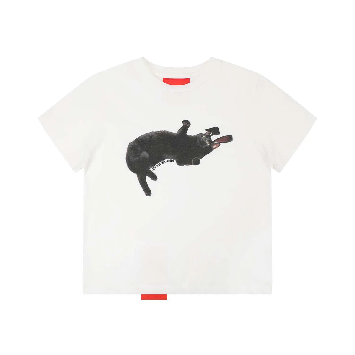 [REコンテナ]Camiseta coreana de moda Y2k Crop Top con lindos estampados de gatos, camiseta Kawaii de manga corta para mujer, camisetas ajustadas