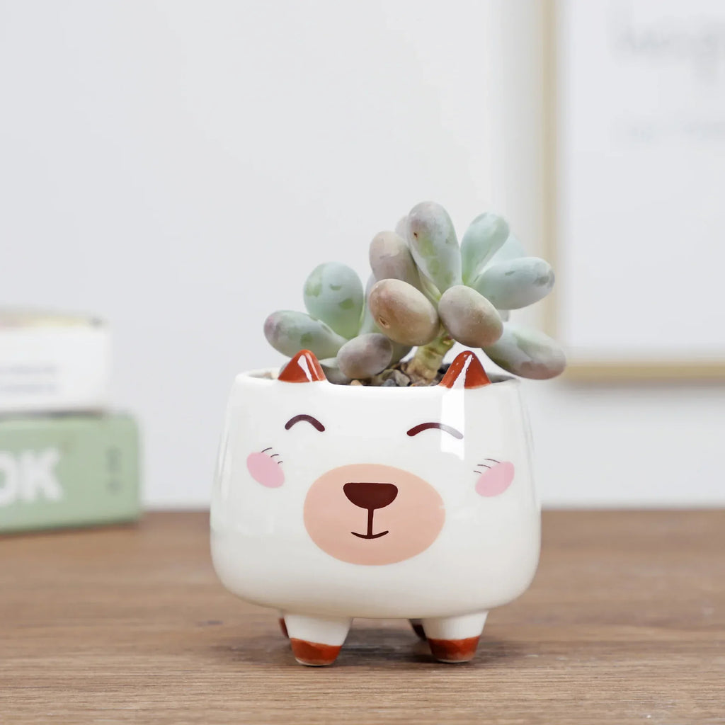 Nordic Style Ceramic Animal Flower Pot