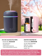 300ml Aromatherapy Diffuser