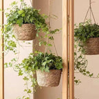 Macrame Plant Basket