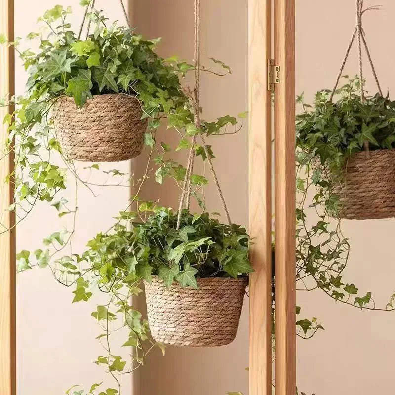 Macrame Plant Basket