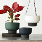 Self Watering Hanging Flower Pots
