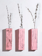 Wall Planters