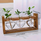 Creative European style hydroponic glass