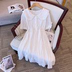 Lace Sequins Dress