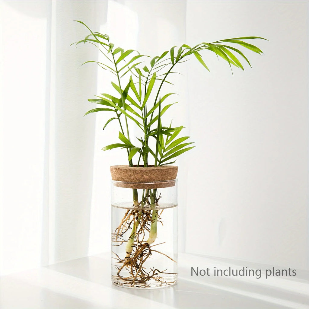 1-2PCSDesktop Hydroponic Glass Vase Home Decorative Plant Cultivation Bottle Office Green Plant Rooting Container