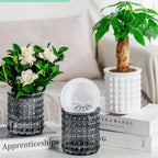 Self Watering Hydroponic Plants Pot