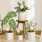 1/3/6/12pcs Automatic Plant Watering Tulip Shape Flower Plant Water Dripper