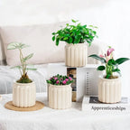 Self Watering Hydroponic Plants Pot