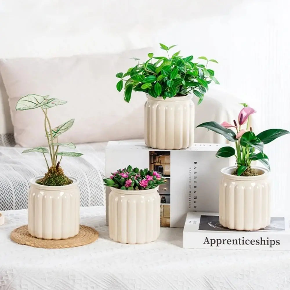 Self Watering Hydroponic Plants Pot