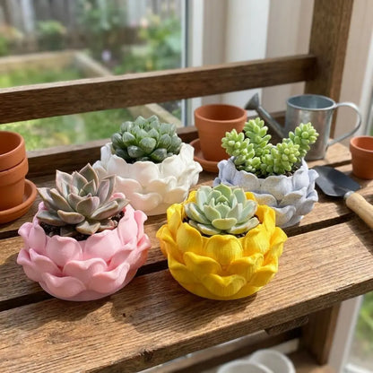 Lotus Shaped Succulent Plant Pot