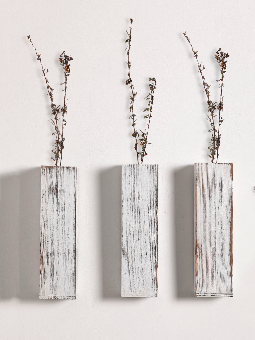 Wall Planters