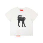 [REコンテナ]Camiseta coreana de moda Y2k Crop Top con lindos estampados de gatos, camiseta Kawaii de manga corta para mujer, camisetas ajustadas