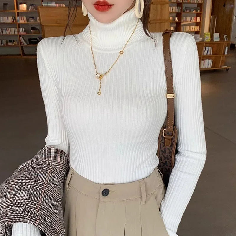 Turtleneck Knitted Pullover