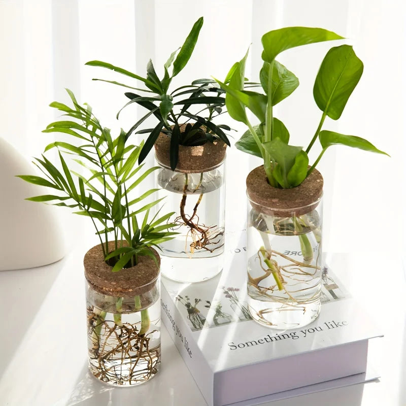 1-2PCSDesktop Hydroponic Glass Vase Home Decorative Plant Cultivation Bottle Office Green Plant Rooting Container