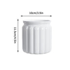 Self Watering Hydroponic Plants Pot