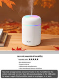 300ml Aromatherapy Diffuser