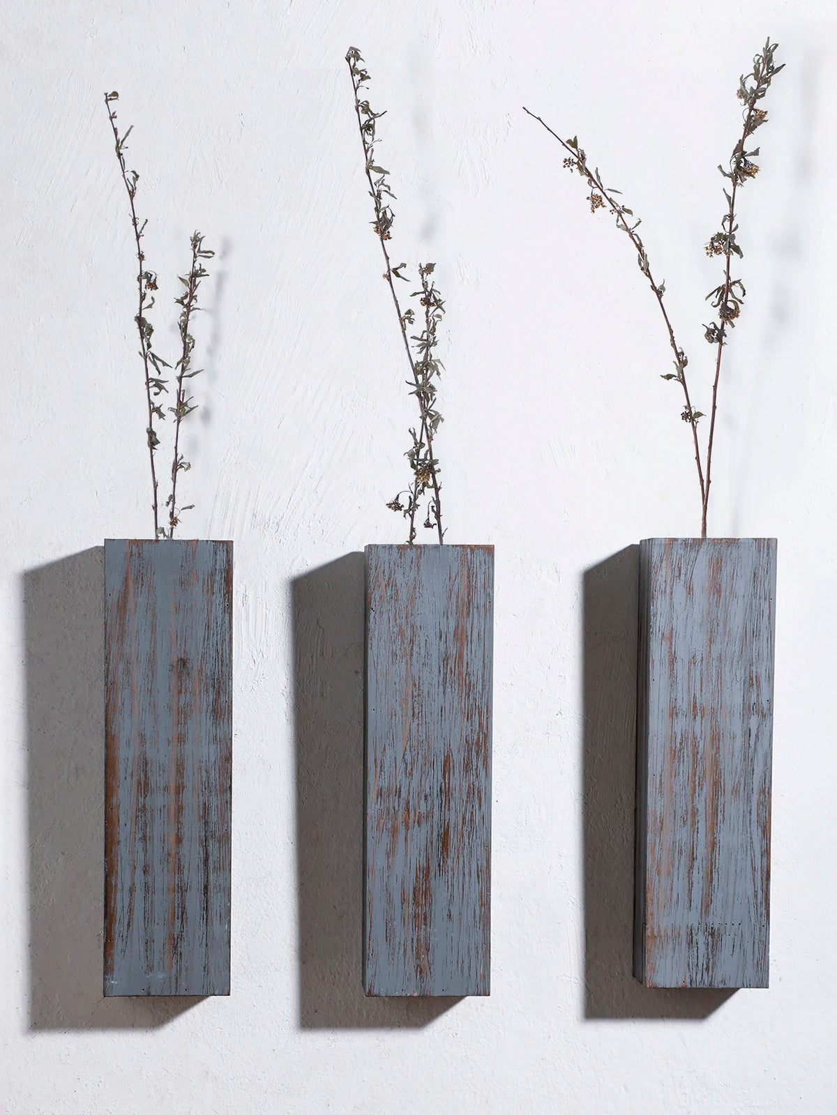 Wall Planters