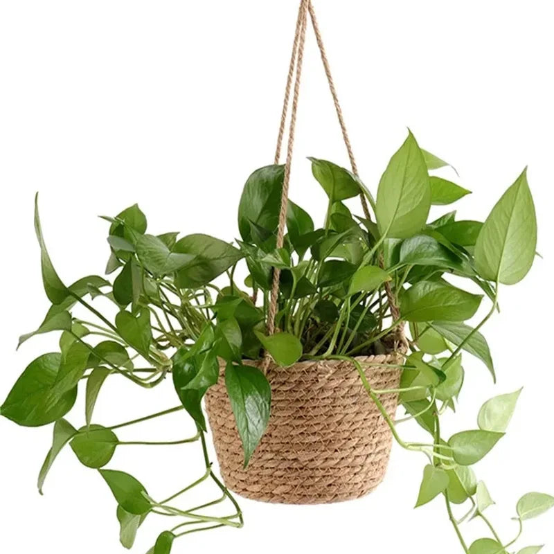 Macrame Plant Basket