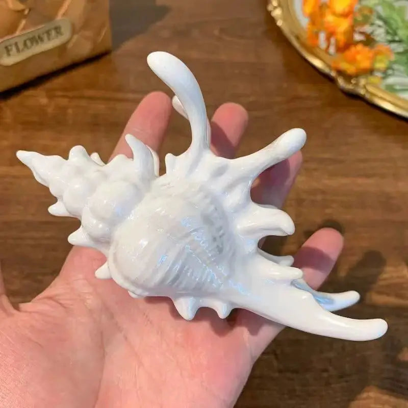 acrylic sea shell hair clip