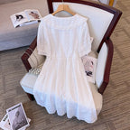 Lace Sequins Dress