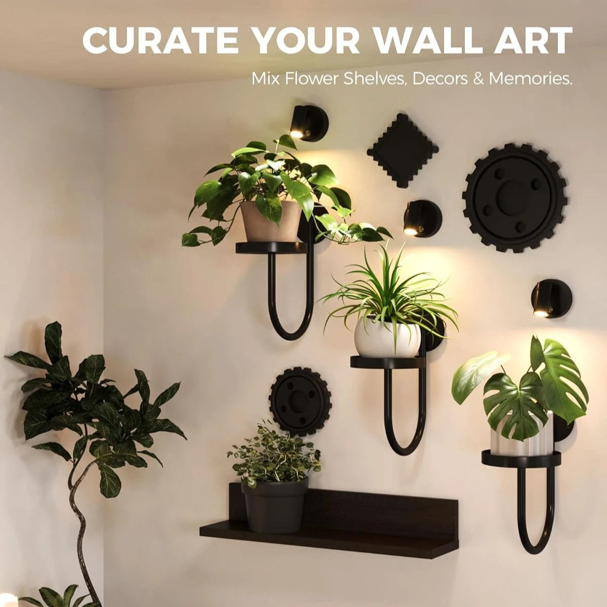 Iron Wall Plant Holder