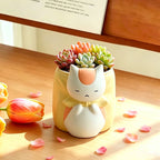Sleepy Chubby Cat Resin Succulent Planter