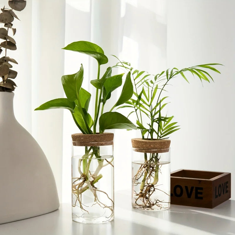 1-2PCSDesktop Hydroponic Glass Vase Home Decorative Plant Cultivation Bottle Office Green Plant Rooting Container