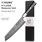Damascus Steel Professional Kitchen Knives