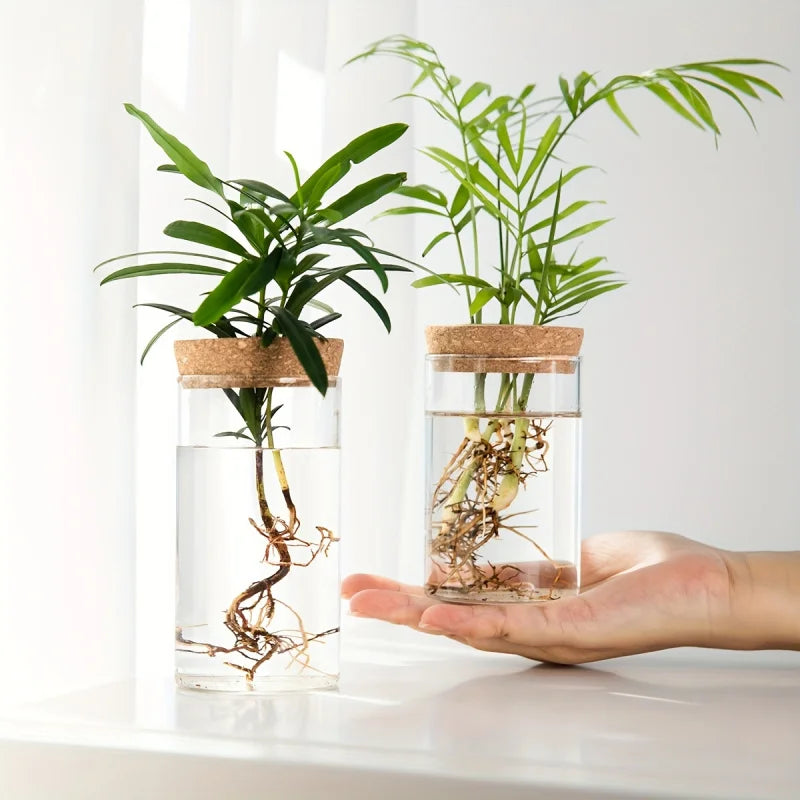 1-2PCSDesktop Hydroponic Glass Vase Home Decorative Plant Cultivation Bottle Office Green Plant Rooting Container