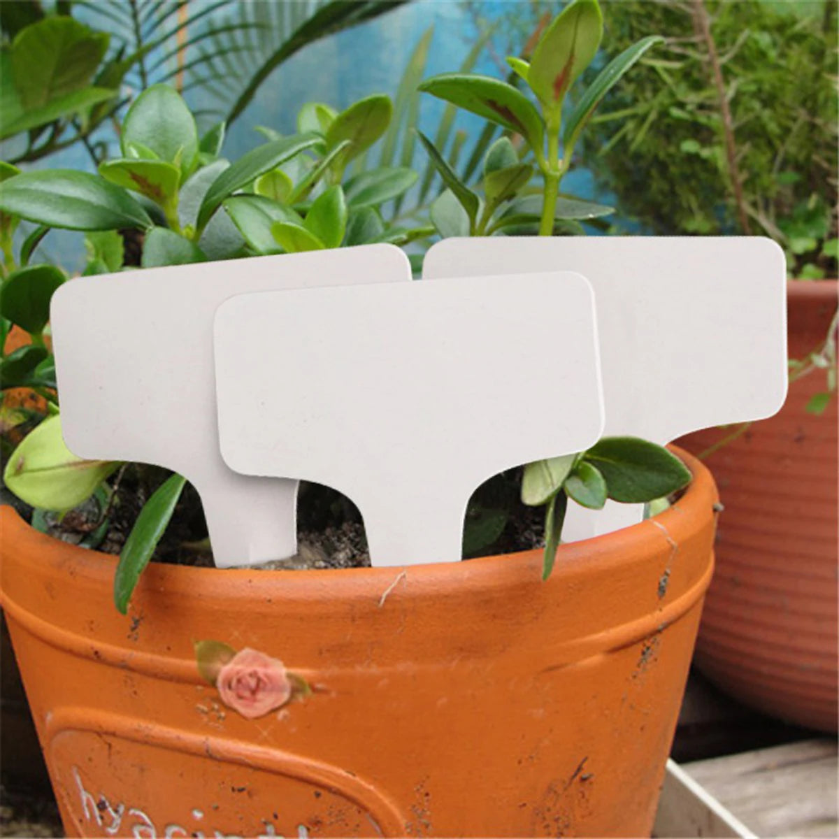 50/100/200pcs White Plastic PVC Plant Tags T Type Marker Nursery Garden Label Seedling Tray Pots Decoration Garden Labels 6x10cm