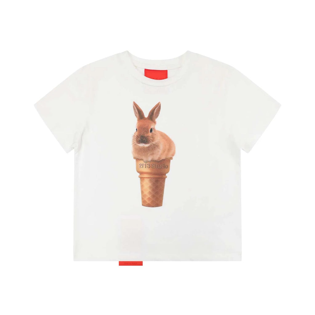 [REコンテナ]Camiseta coreana de moda Y2k Crop Top con lindos estampados de gatos, camiseta Kawaii de manga corta para mujer, camisetas ajustadas