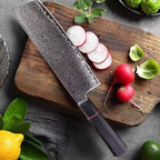 Damascus Steel Kitchen Knife