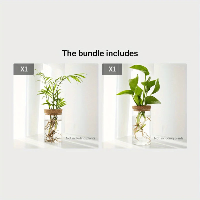 1-2PCSDesktop Hydroponic Glass Vase Home Decorative Plant Cultivation Bottle Office Green Plant Rooting Container