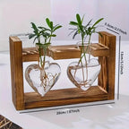 Creative European style hydroponic glass