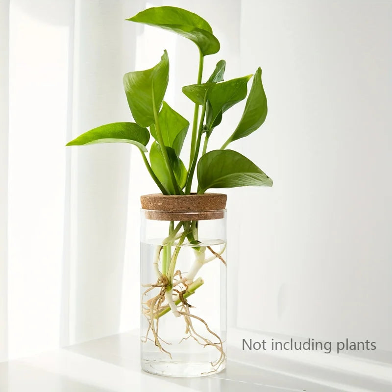 1-2PCSDesktop Hydroponic Glass Vase Home Decorative Plant Cultivation Bottle Office Green Plant Rooting Container