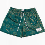 Paisley Butterfly Print Mesh Shorts