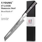 Damascus Steel Professional Kitchen Knives