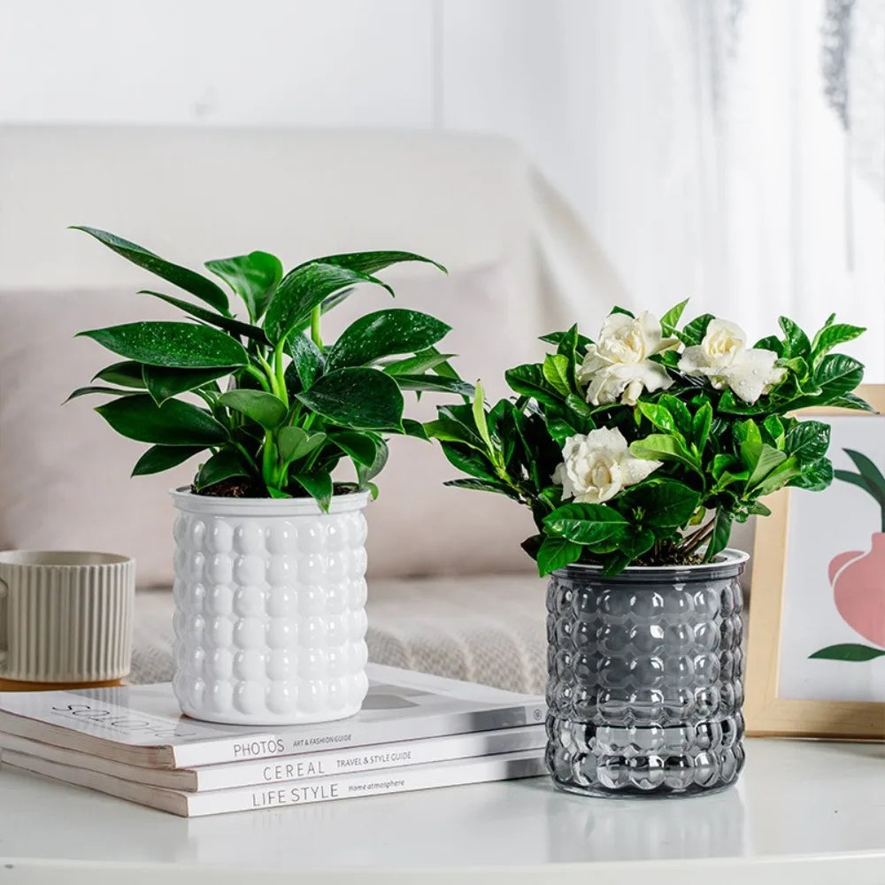 Self Watering Hydroponic Plants Pot