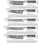 Damascus Steel Professional Kitchen Knives
